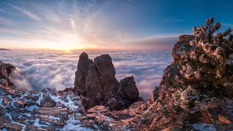 Обои «Природа» №335