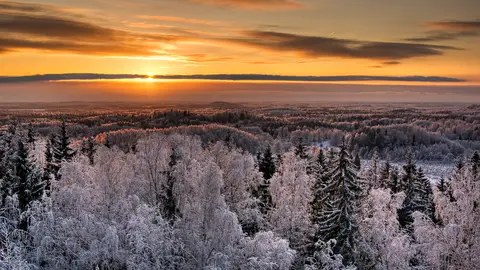Обои «Природа» №304